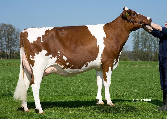 Grietje 41,Mts G+M oosterwijk-Lorkeers, Lettele Grietje 41,Mts G+M oosterwijk-Lorkeers, Lettele