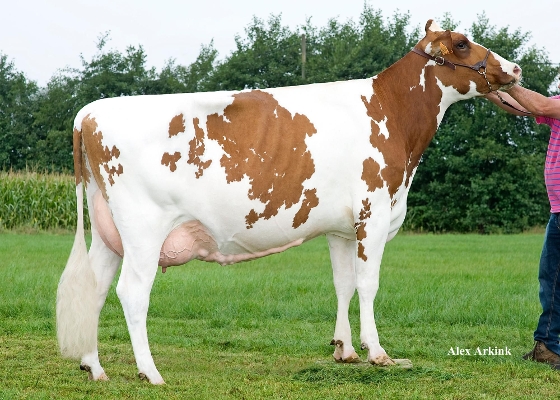 Floortje, Adriaensen Jan & Maarten, Rijkevorsel (Belgium) Floortje, Adriaensen Jan & Maarten, Rijkevorsel (Belgium)