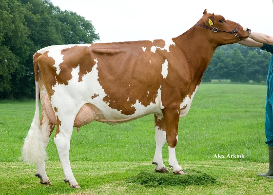 Gerda 47, G J H Klein Elhorst, Zenderen Gerda 47, G J H Klein Elhorst, Zenderen